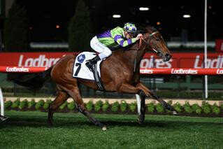 I Am a Star wins the Group 2 Stocks Stakes at Moonee Valley.